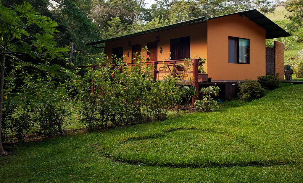 Riverside Rainforest Sanctuary, Lake Arenal-Toucan