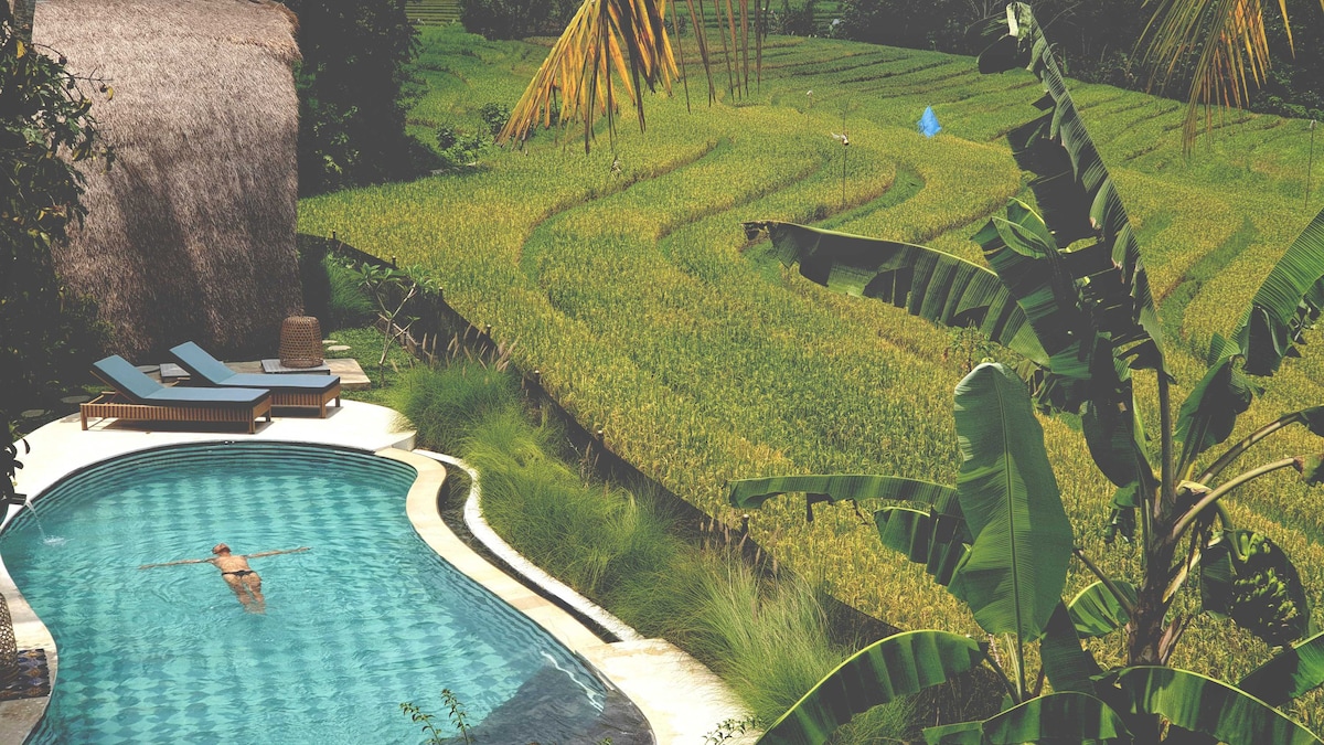 Tropical Hideaway Dharma Oasis - 2卧室别墅