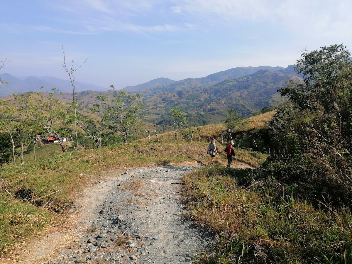 Entre Montañas, Aves y Café.