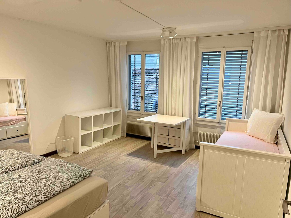 Center Apt, Old Town, 3min to Bern train station
