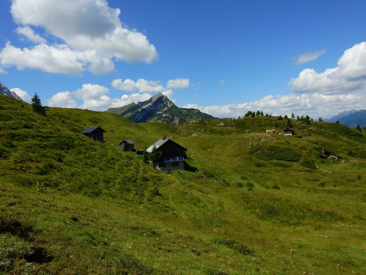 安静的高山小屋，位于宁静的阿尔卑斯山（ Carnic Alps ）