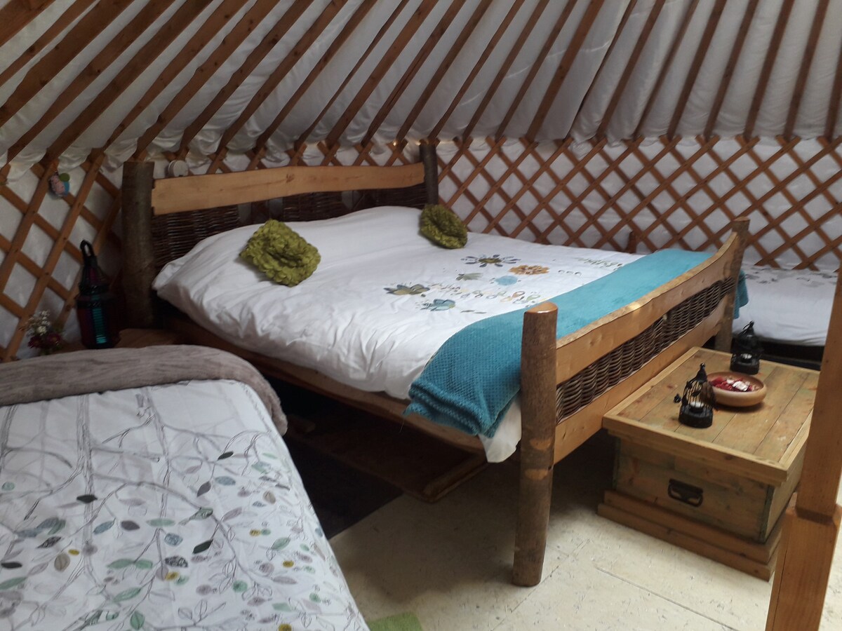 粉红苹果果园： Willow Yurt Glamping