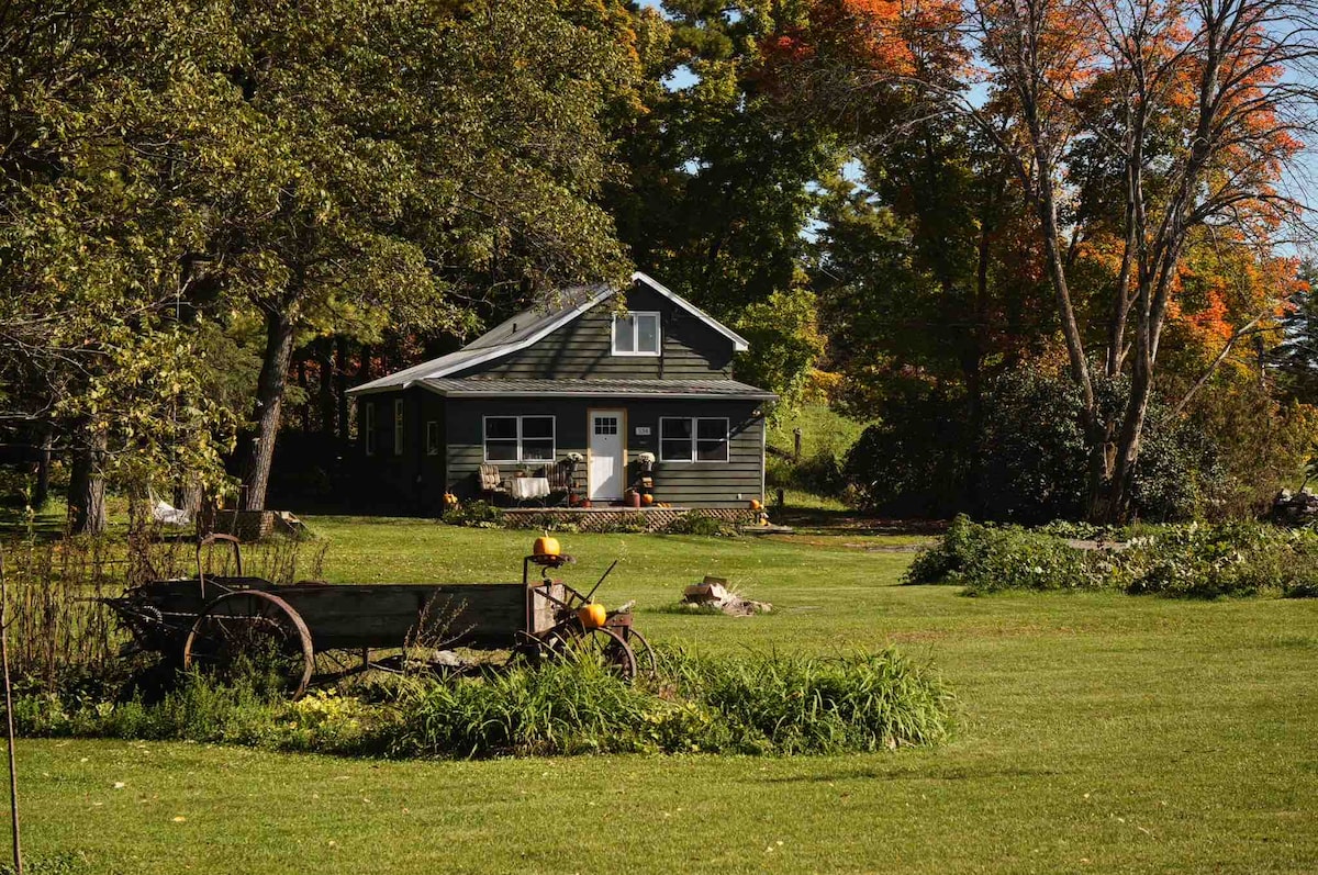 The Little Green House