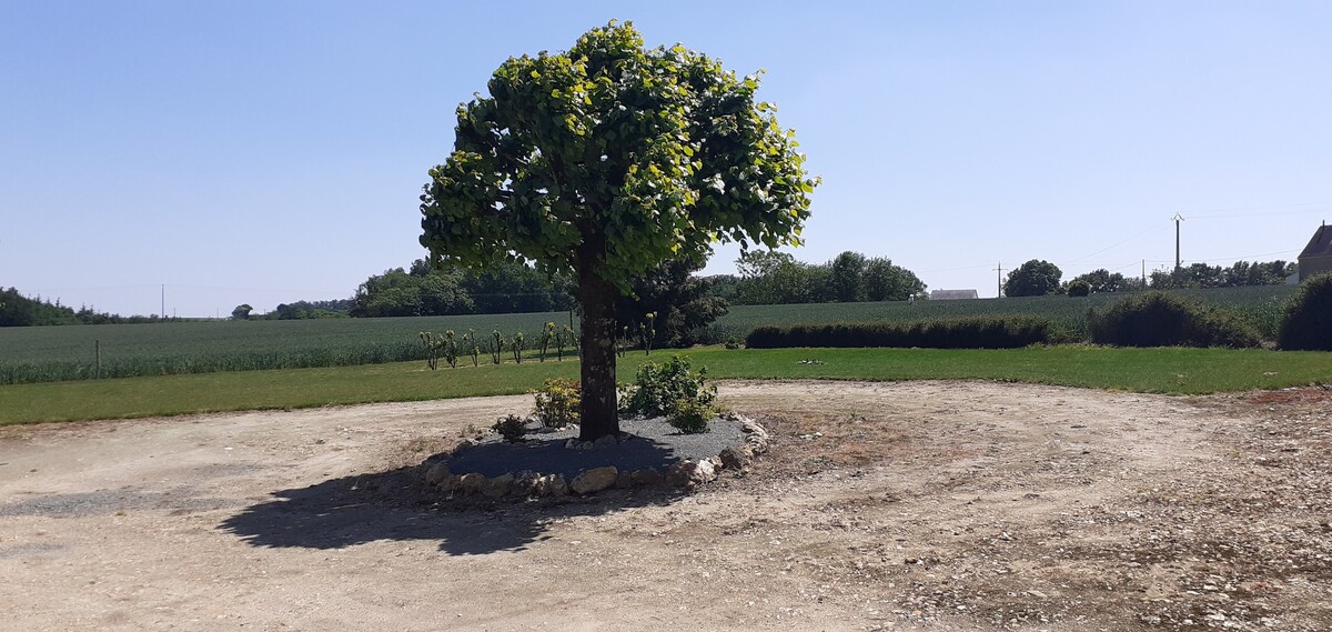 Gîte de la Campagne "Chez Élodie et Fabien"