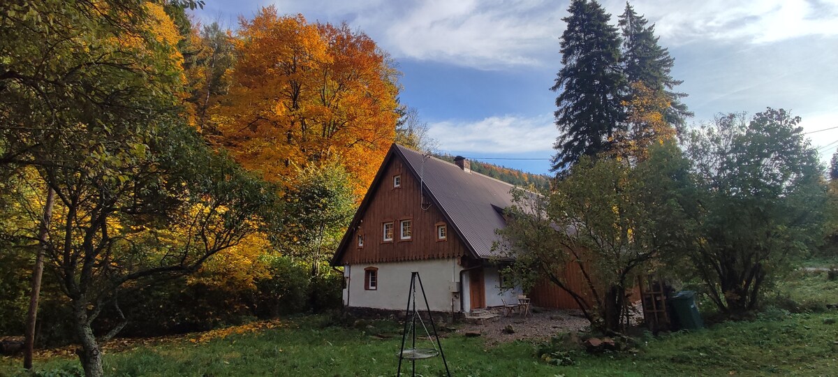 Above the Creek