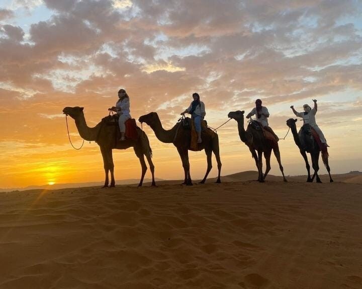 Sahara Bedouin Camp