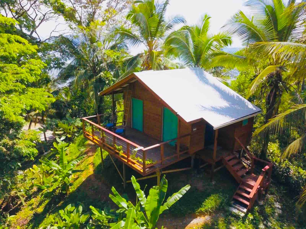 Casita on the Knoll, 
Solarte Island, Bocas del Toro