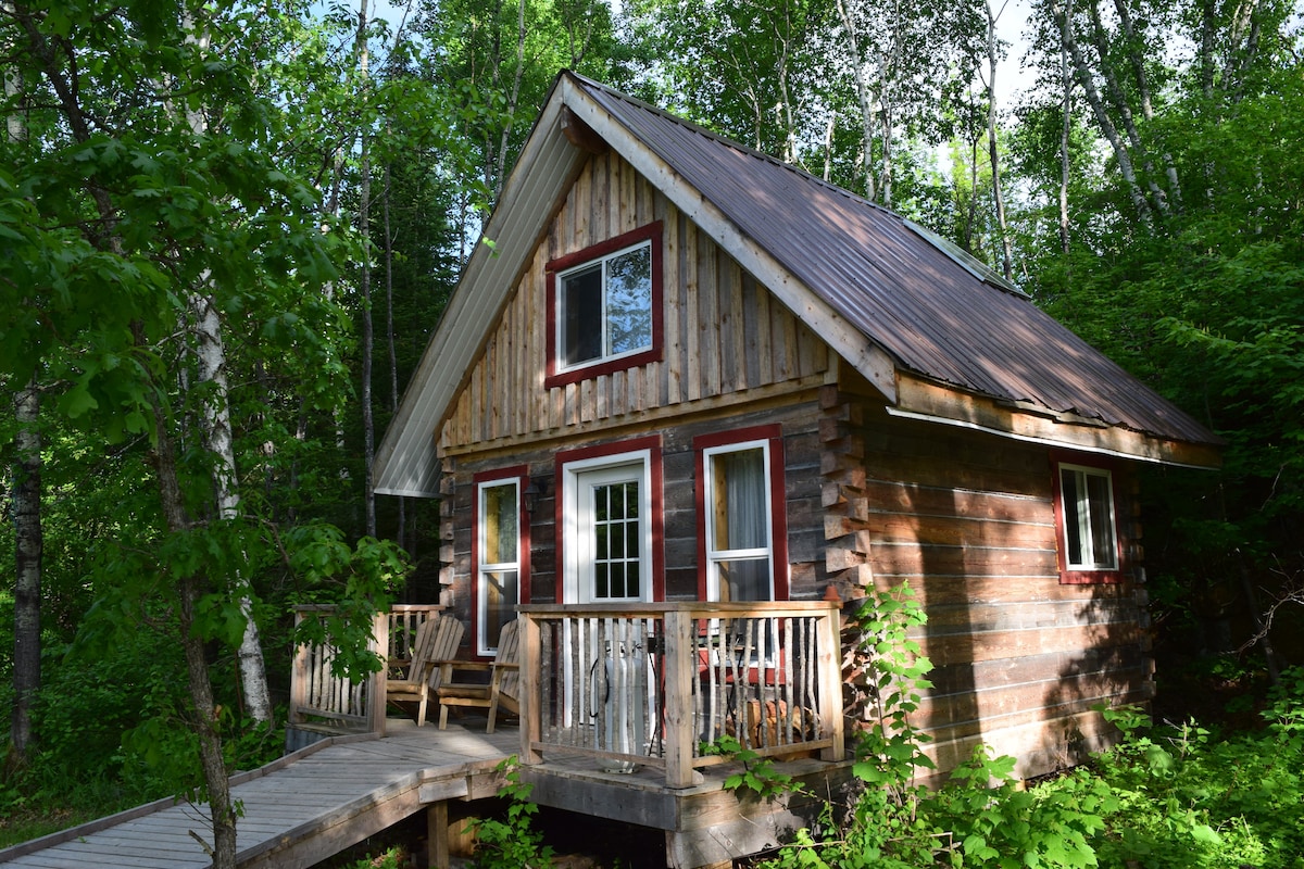 Mullein Cabin w/ Lake Access @Wild Woods Hideaway