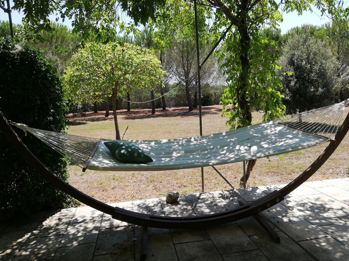 Villa del wisteria