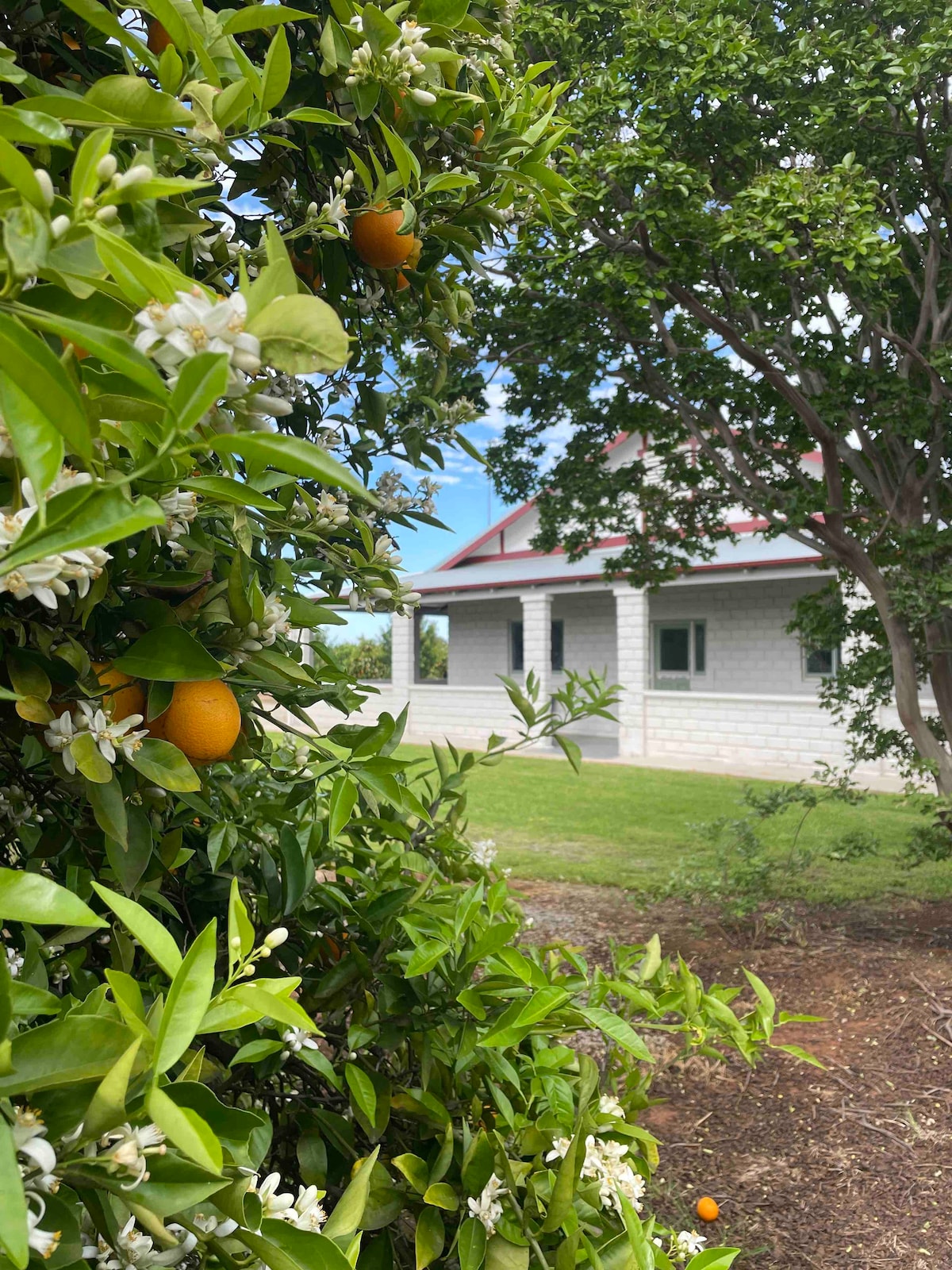 Unique Farm - Orchard Setting - Blossom Cottage