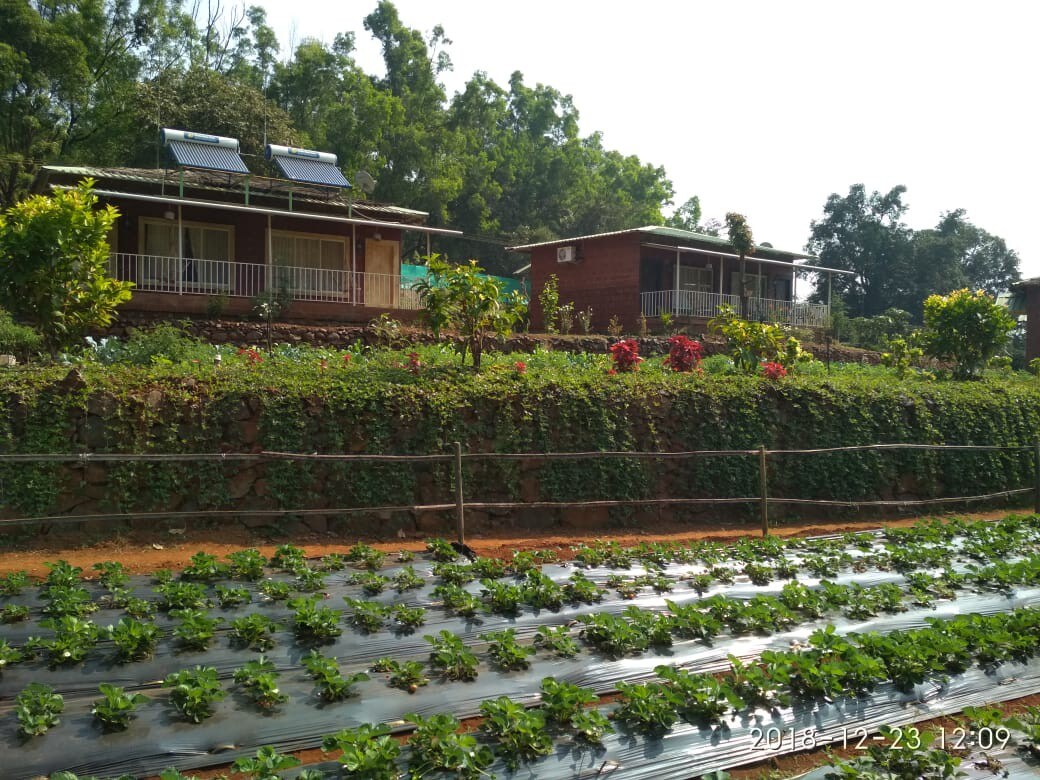 Jungle Valley Agriculture Resort With AC Room