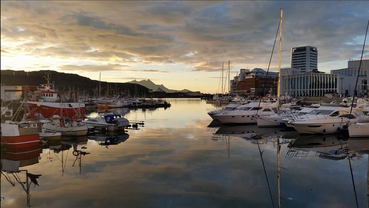 S/Yacht in City Harbour: w/ local sailing tours