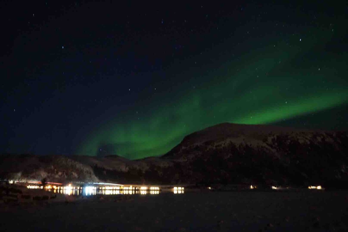 位于罗弗敦（ Lofoten ）市中心的现代小木屋