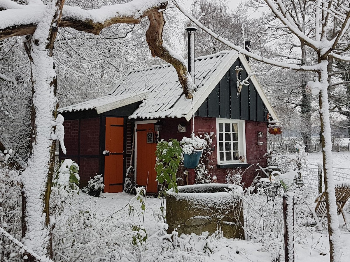 Cottage De Vrolijke Haan ，户外区域Winterswijk。