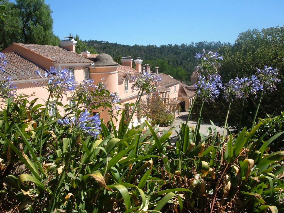 Quinta da Fonteireira 8p