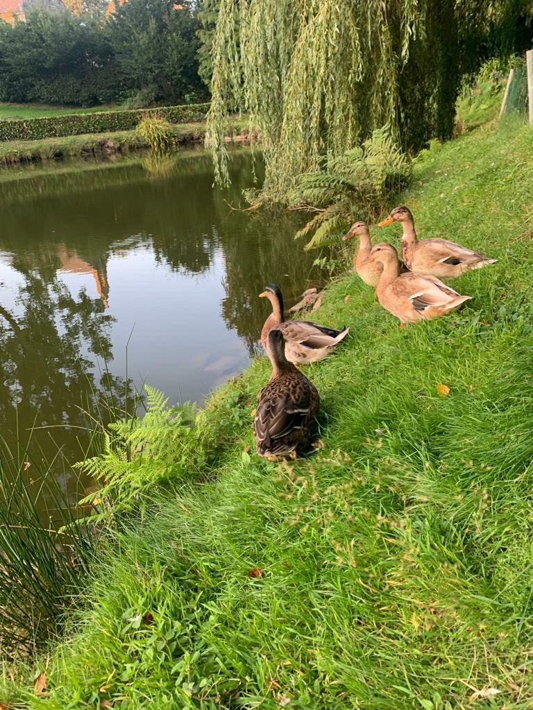 Nature et Tranquillité.