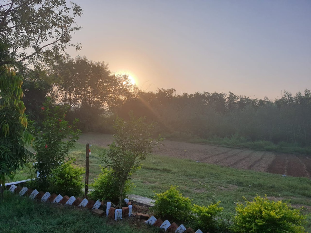 Aryan Riverside Camp, Panna Tiger Reserve Madla-T2