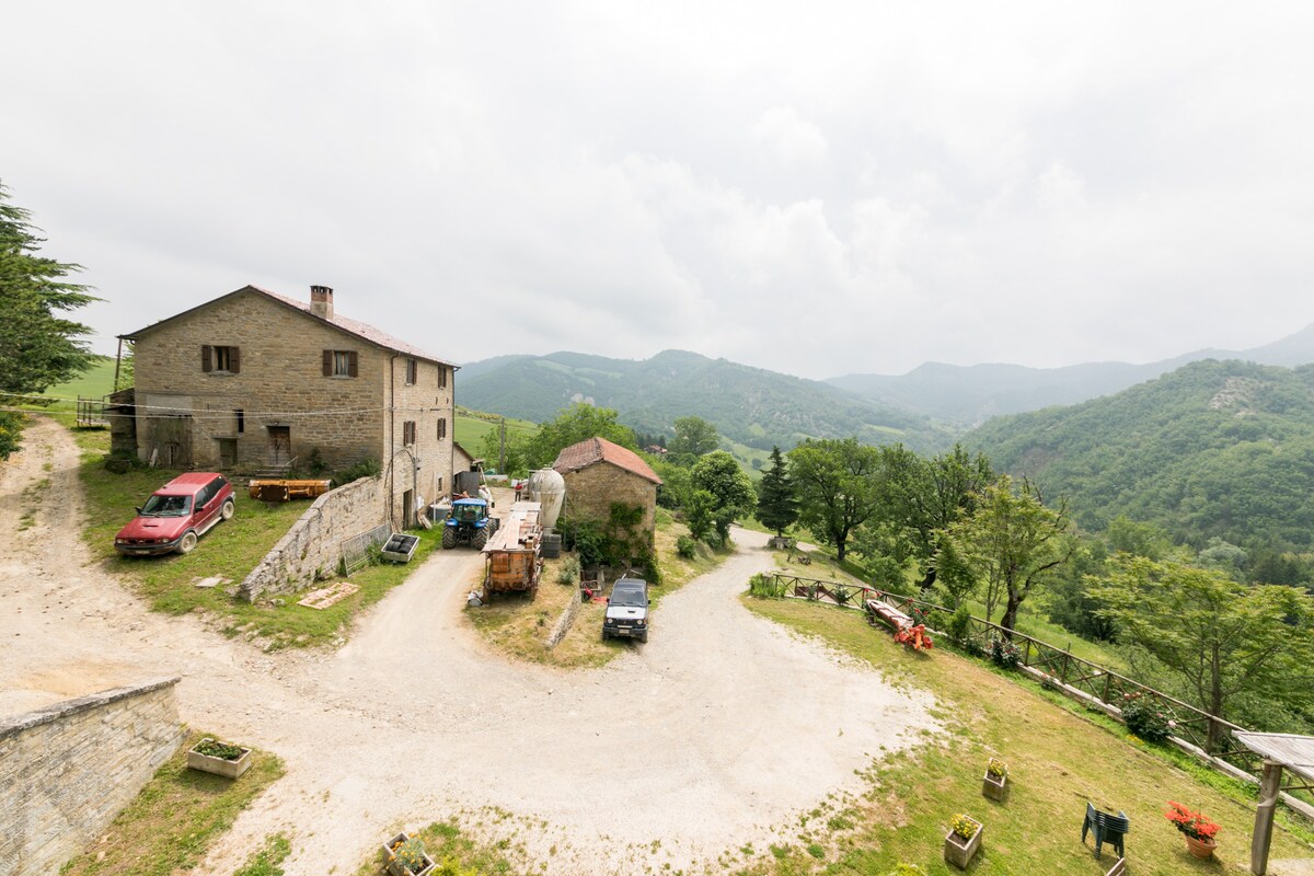 Agriturismo L'Antico Frutto - Melograna