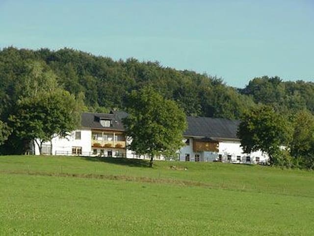 Hüttingen bei Lahr的民宿