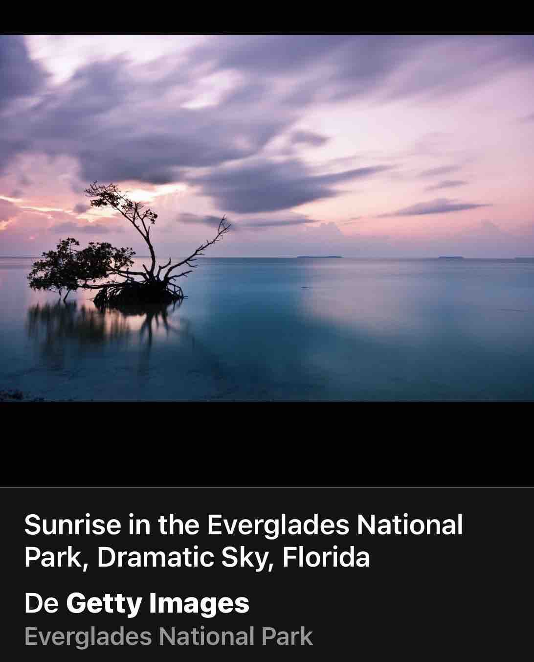 位于佛罗里达钥匙（ The Corner of Florida Keys ） -联排别墅。