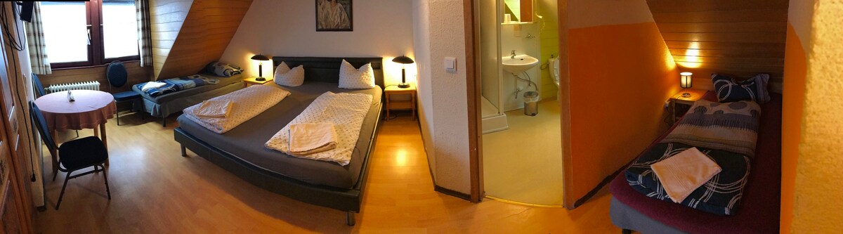 Sonnenmatte酒店， （ Titisee-Neustadt ） ，四床客房，配备淋浴或浴缸及马桶