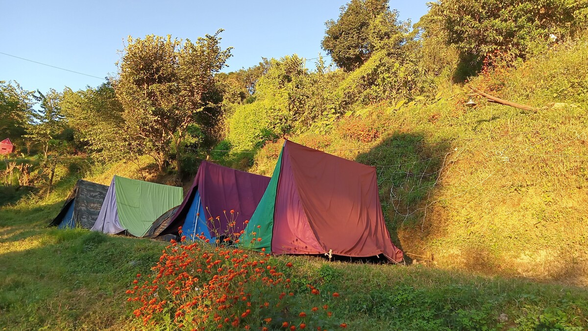 Best Jungle camping Nainital. ( bed & breakfast).