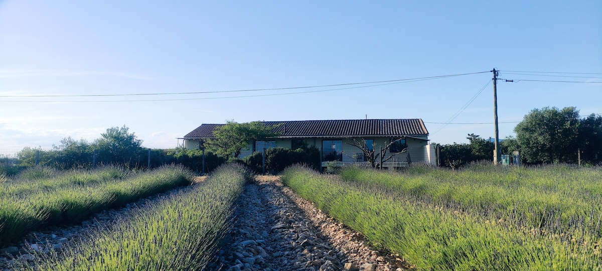 Charme Provençal dans l'enclave des Papes avec SPA