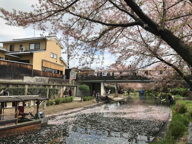 京都的民宿