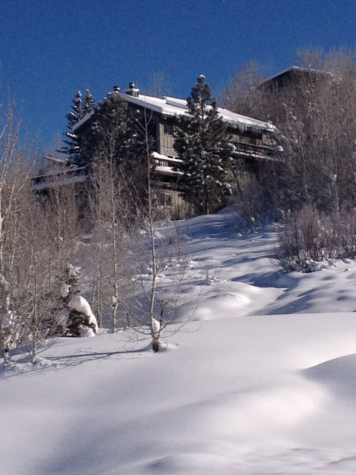 Christie Haus - walk to Ski Area