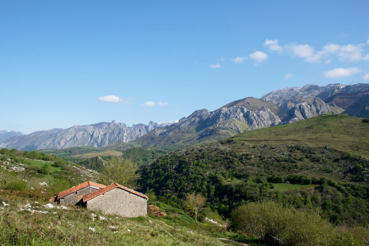 Apartamento La Terraza de Picos