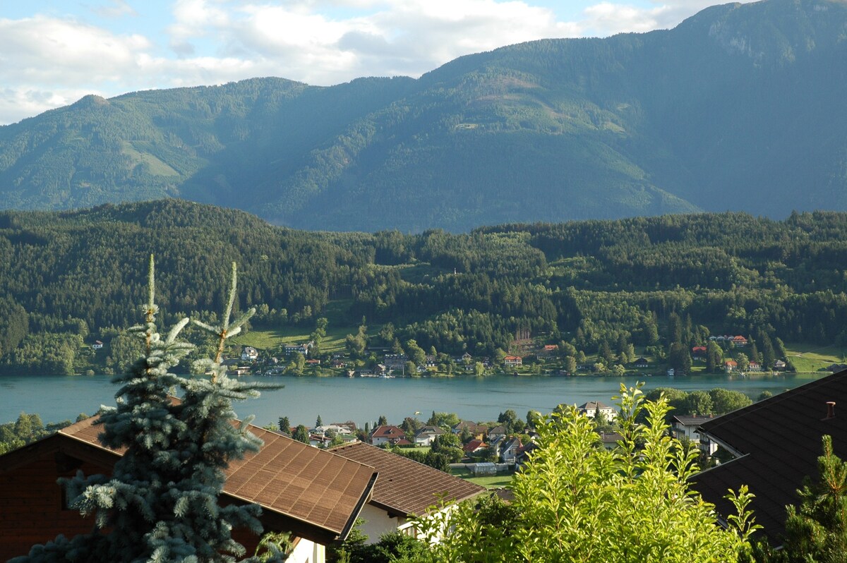 度假区的森林住宅，可欣赏湖景