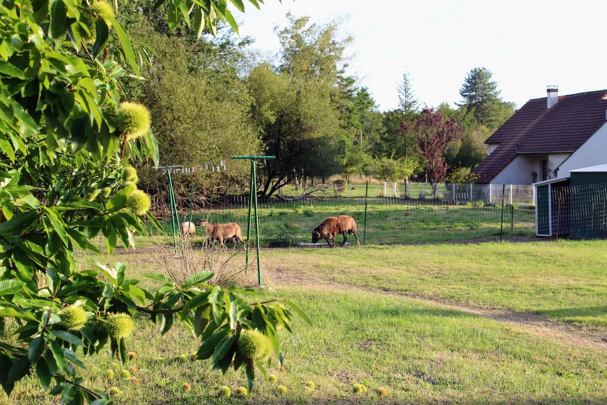 Ô Lilas, votre gîte au cœur de la Sologne