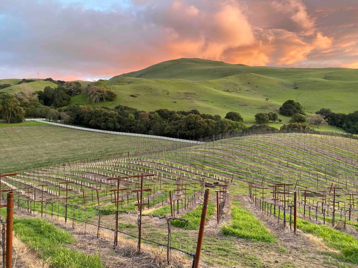 Mission Peak Ranch ：农家乐