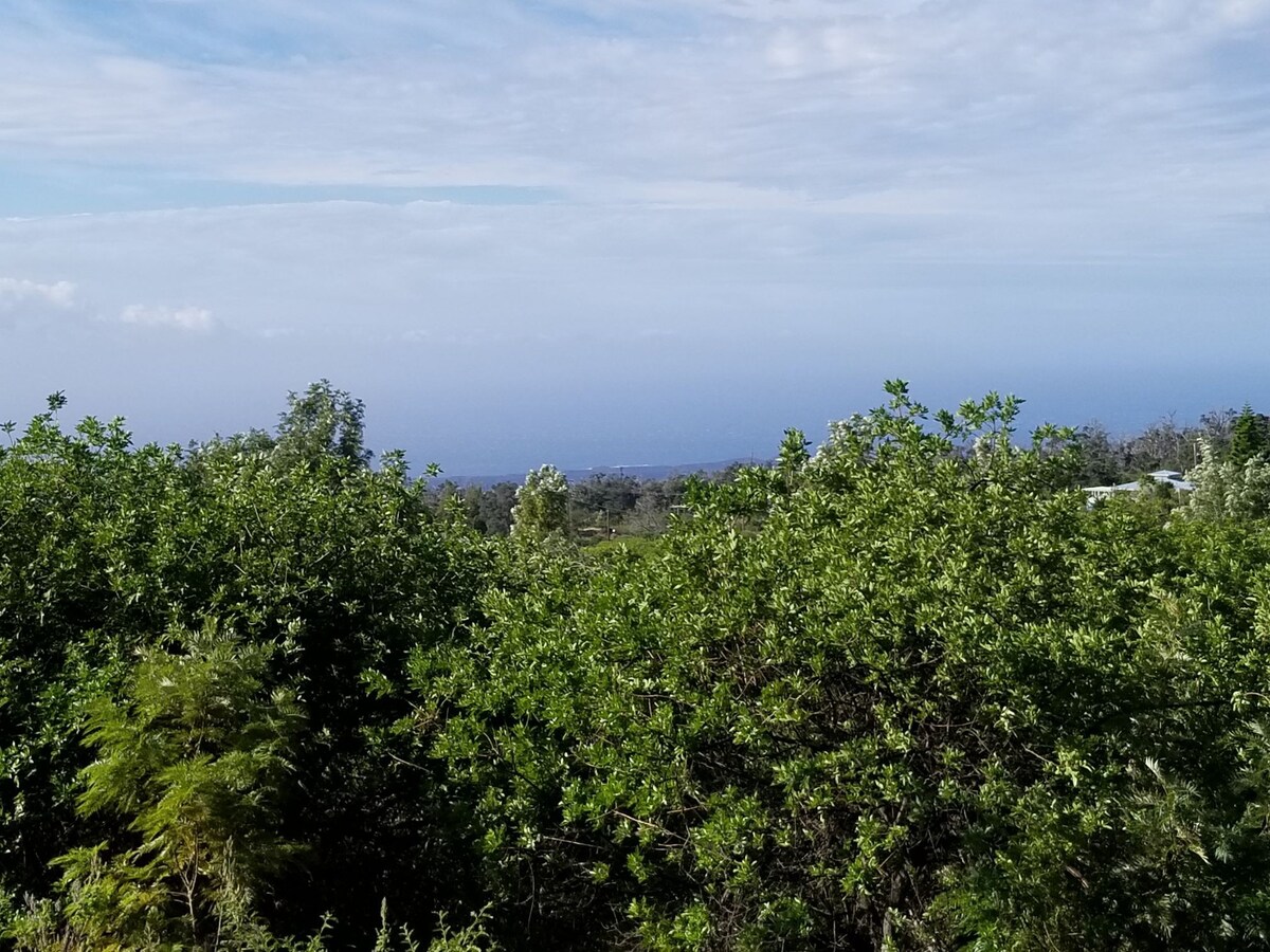 Longer Stays Welcome Myra's Blue Hawaii House