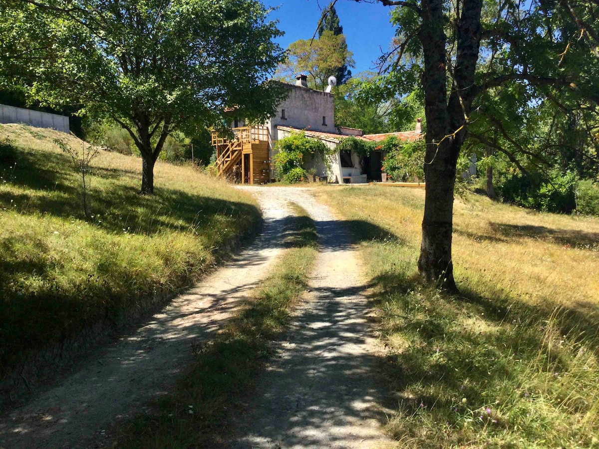 Gîtes du Puyjovent - Côté Forêt