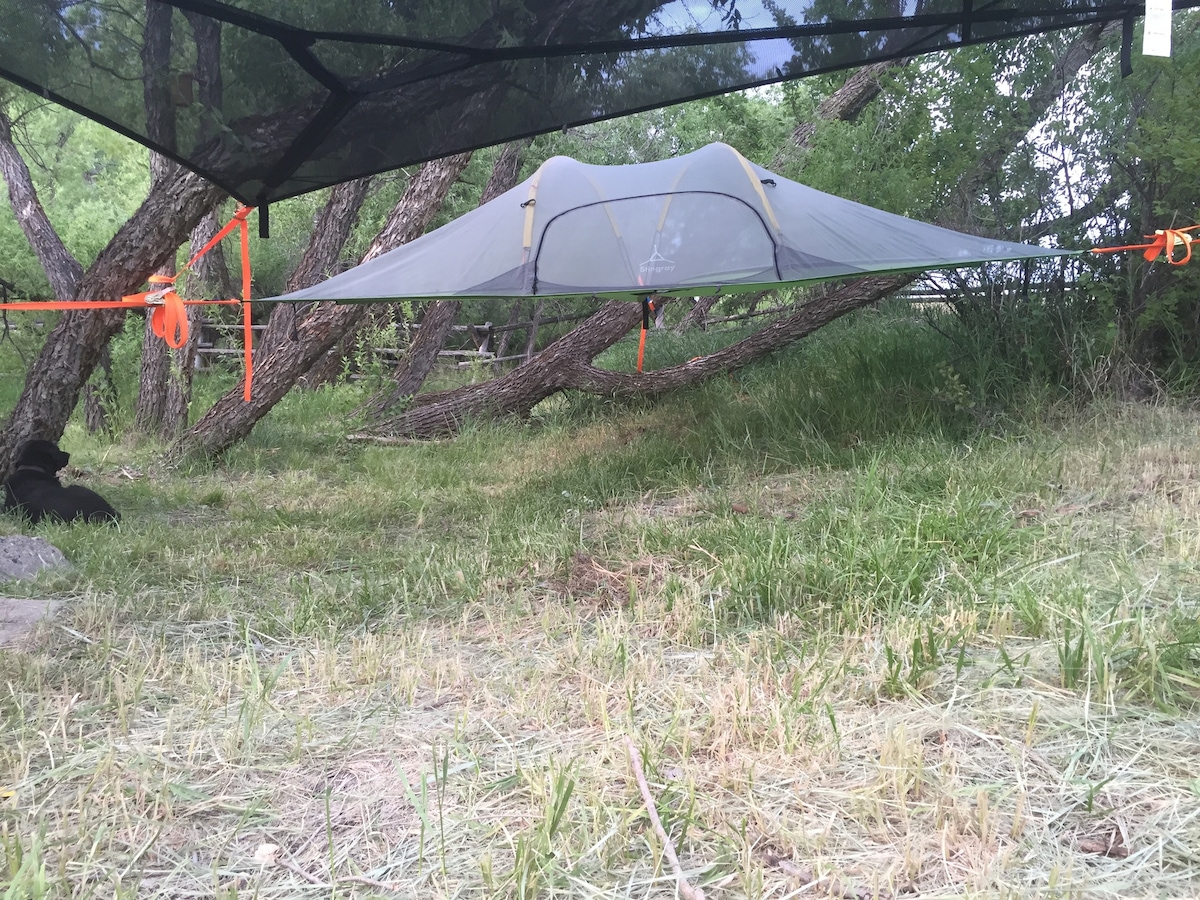 树屋帐篷