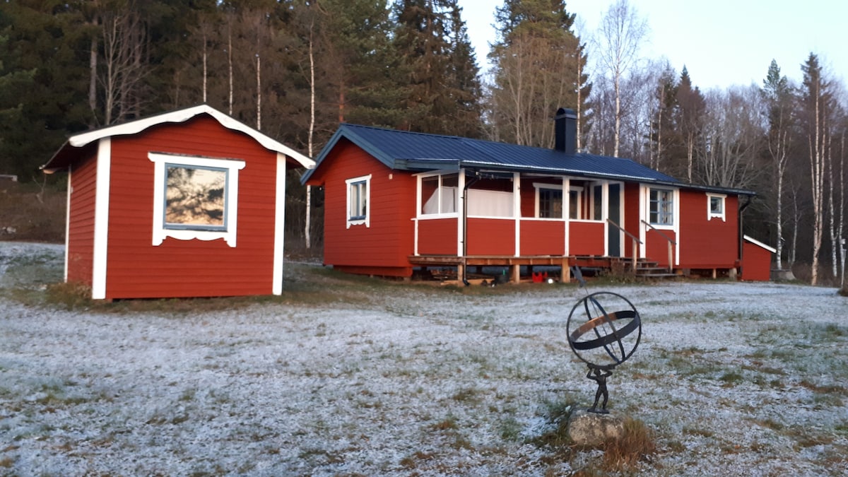 Smultronställe vid Storsjöns strand