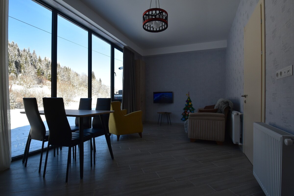 Bakuriani Didveli Residence Apartment C16