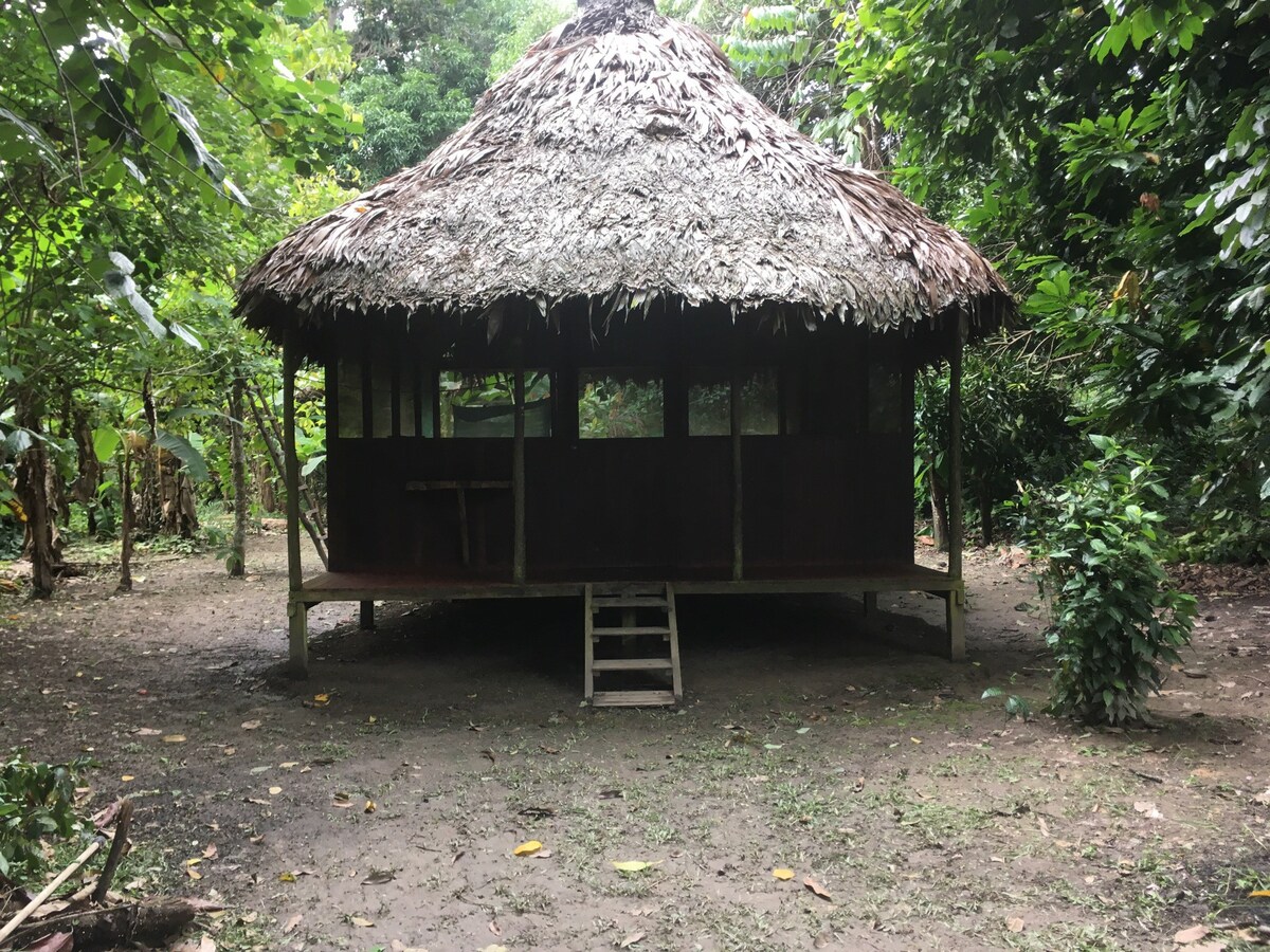 Tierravida Benxote Eco Jungle Lodge