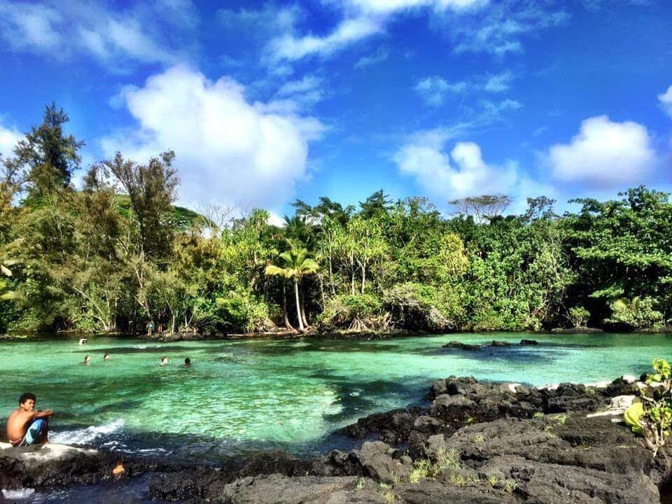 史诗般的海滨顶层公寓，在希洛拥有最佳景观！