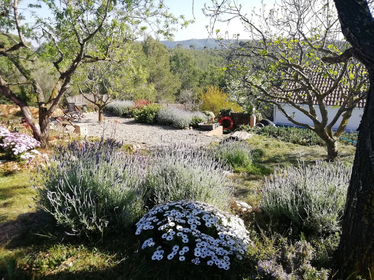 西班牙乡村别墅设有私人泳池和花园