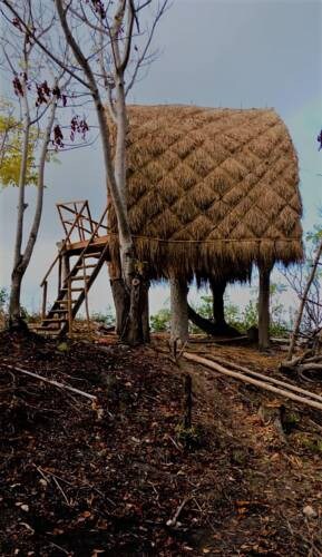 Suwehan悬崖树屋-努沙佩尼达