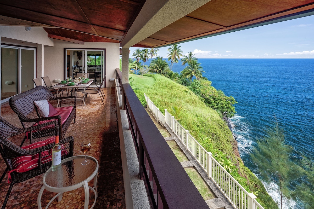 Absolute Oceanfront in Hilo - What a View!