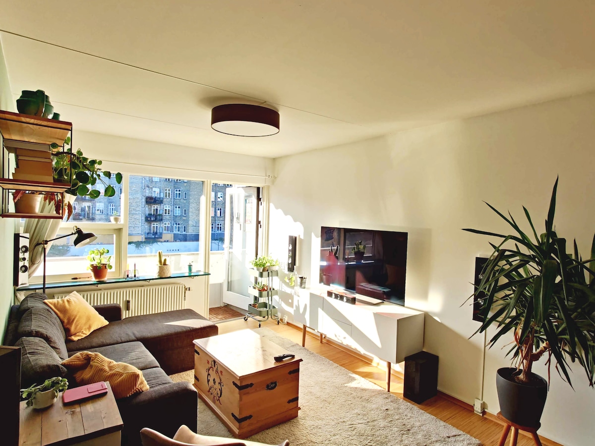 位于 Nørrebro 中心的舒适公寓