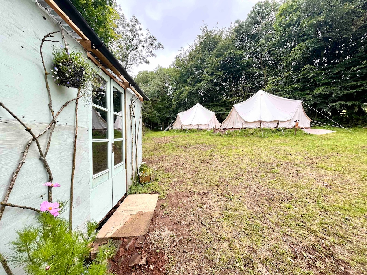 Glamping on Exmoor