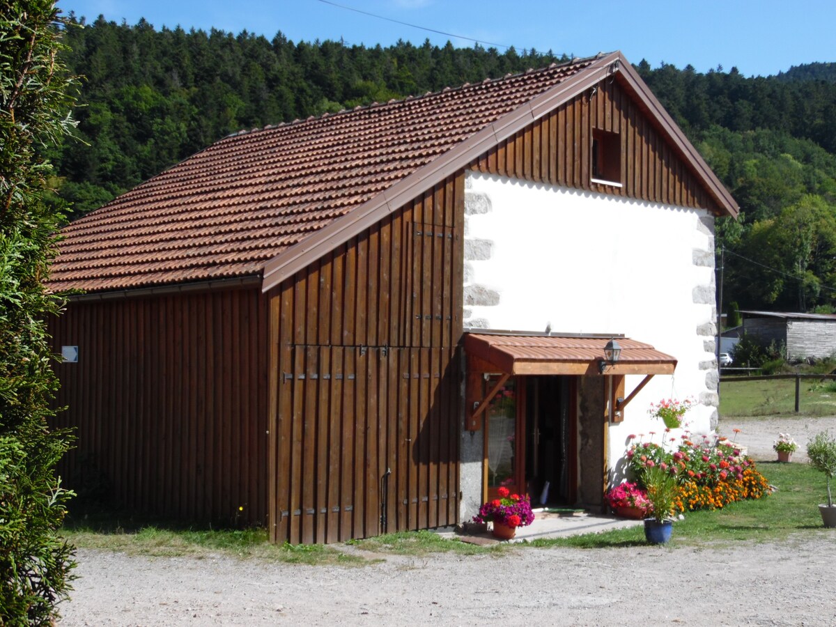 拉布雷斯（ La Bresse ）的温馨农场别墅15分钟