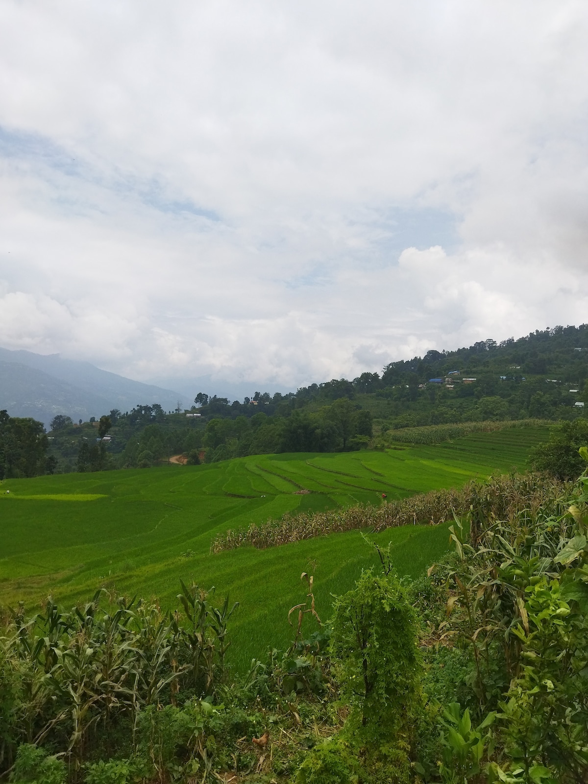 入住大自然和生态村，尽情享受。