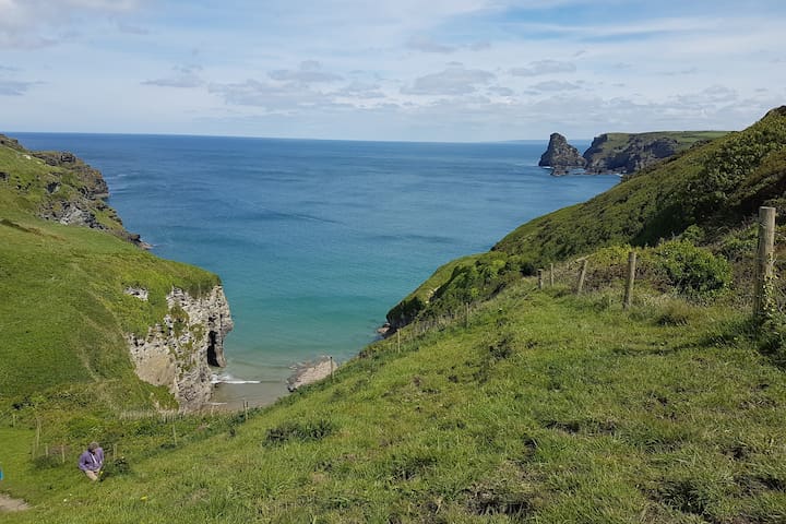 廷塔杰尔 (Tintagel)的民宿