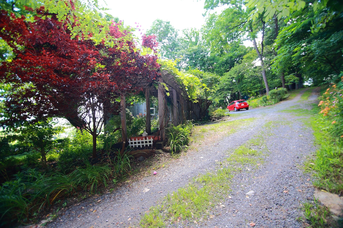 田园诗般的山地房源--狗狗友好/景观非常好！