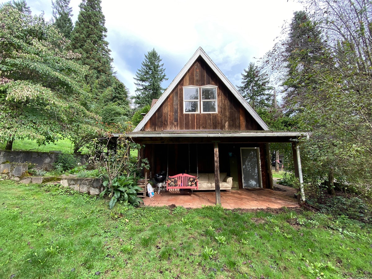 Wake up in Forest Park  - forest cottage